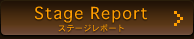Stage Report